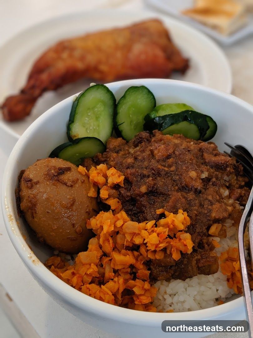 Braised Pork Rice Bowl with Fried Chicken Leg