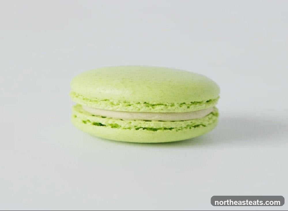 Green Macaron
