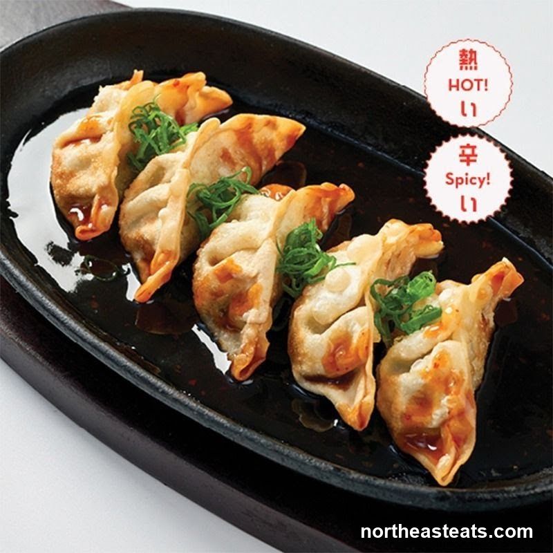 Pan-fried dumplings