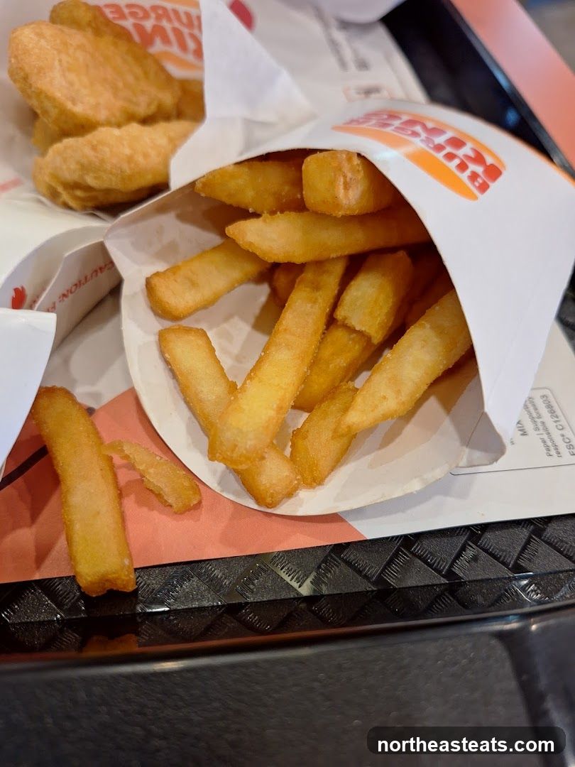 Burger King Fries and Nuggets