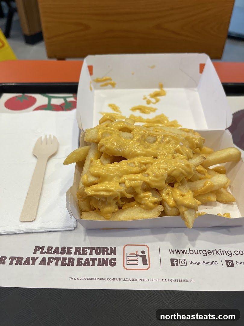 Cheese Fries