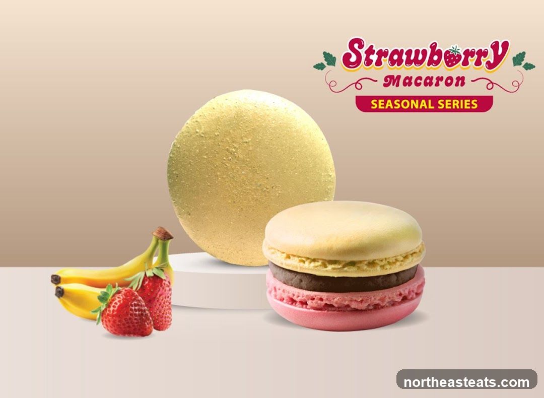 Strawberry Macaron Seasonal Series