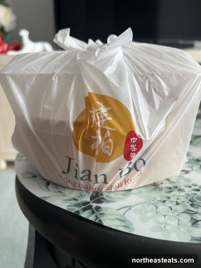 Takeout Bag