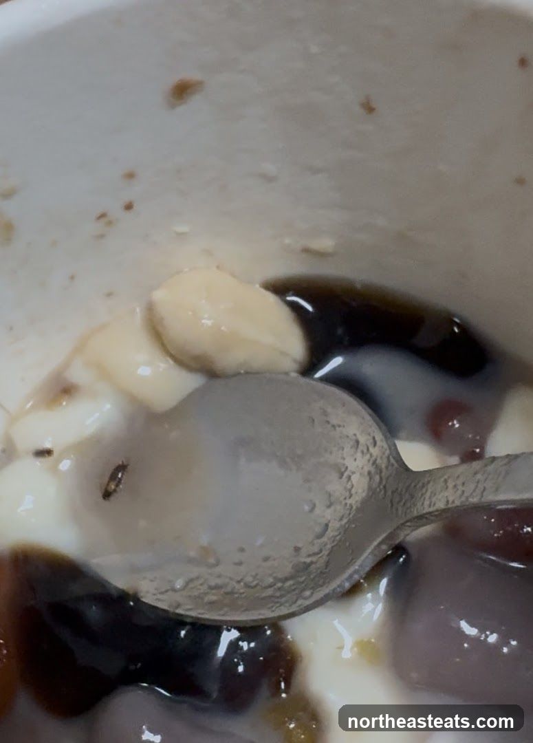 Dessert with Insects