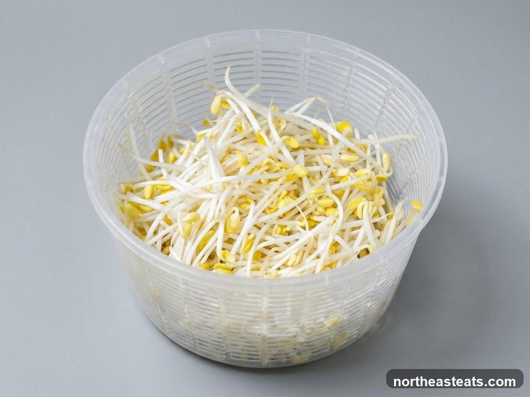 Bean Sprouts in a Colander