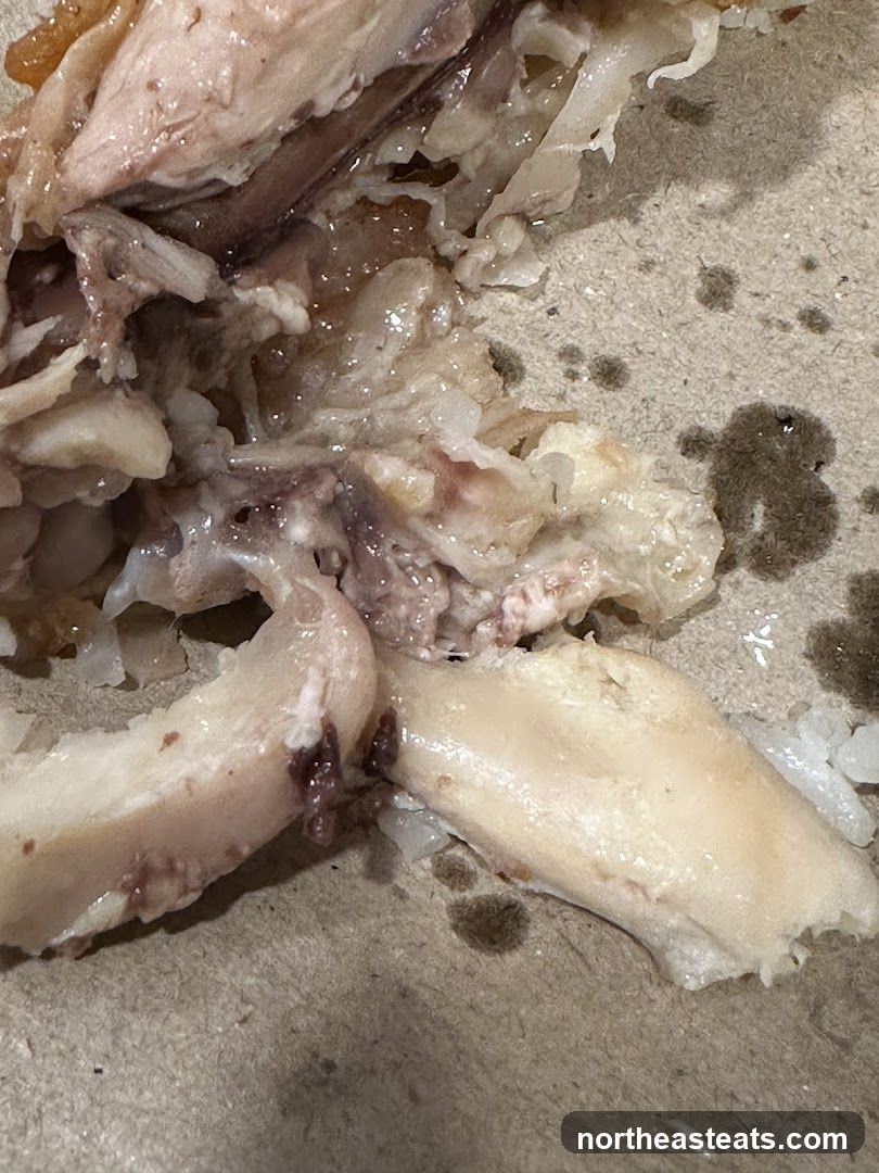 Cooked Chicken Bones and Rice