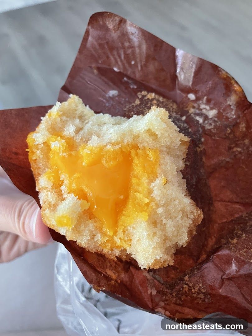 Custard Muffin