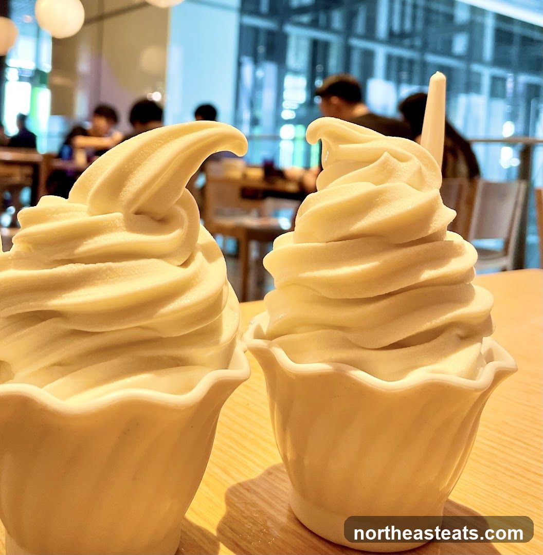 Two soft serve ice creams
