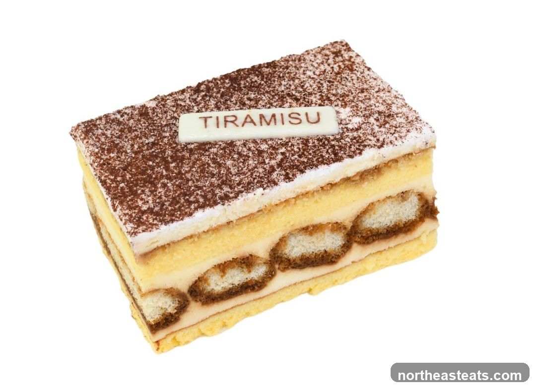 Tiramisu Slice