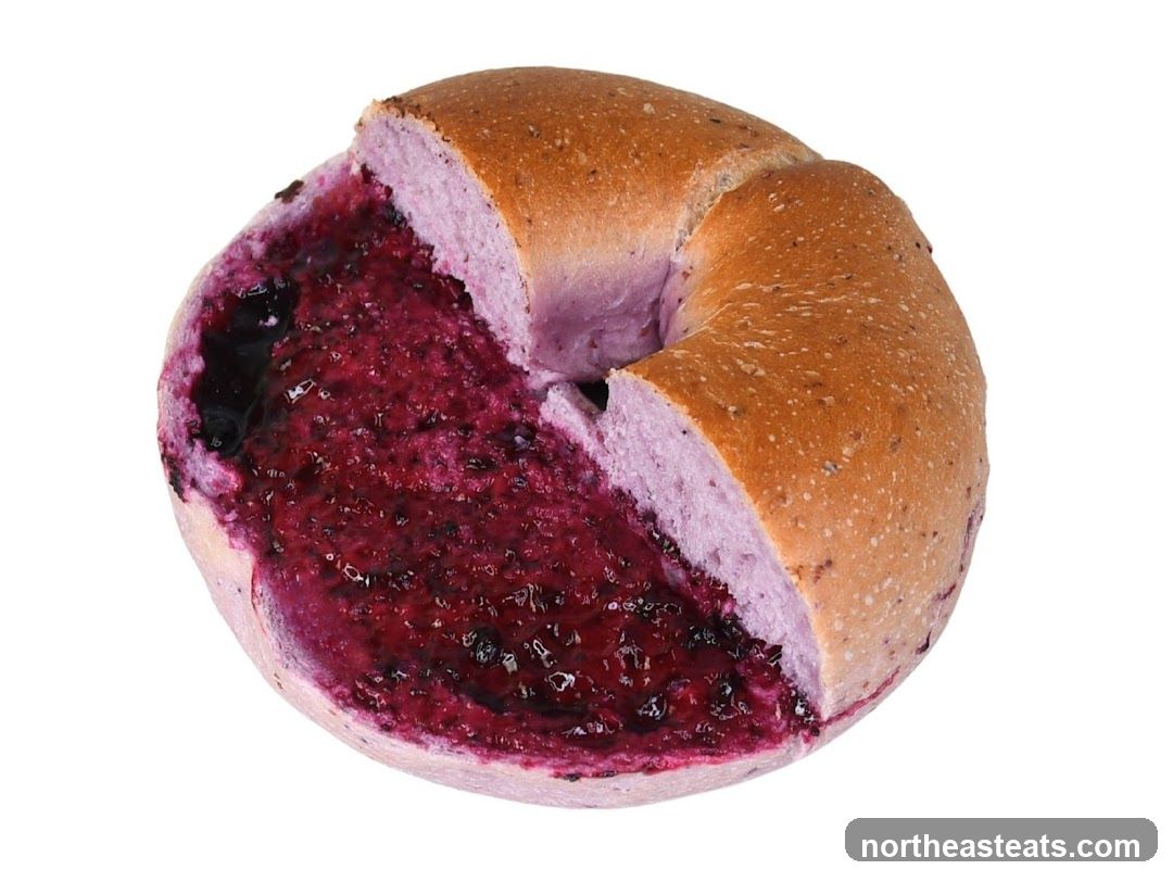 Blueberry Bagel