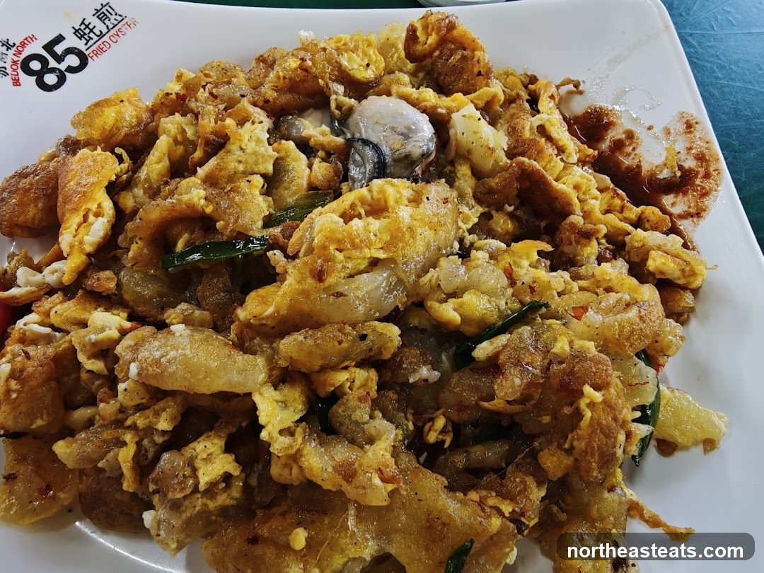 Fried Oyster Omelet