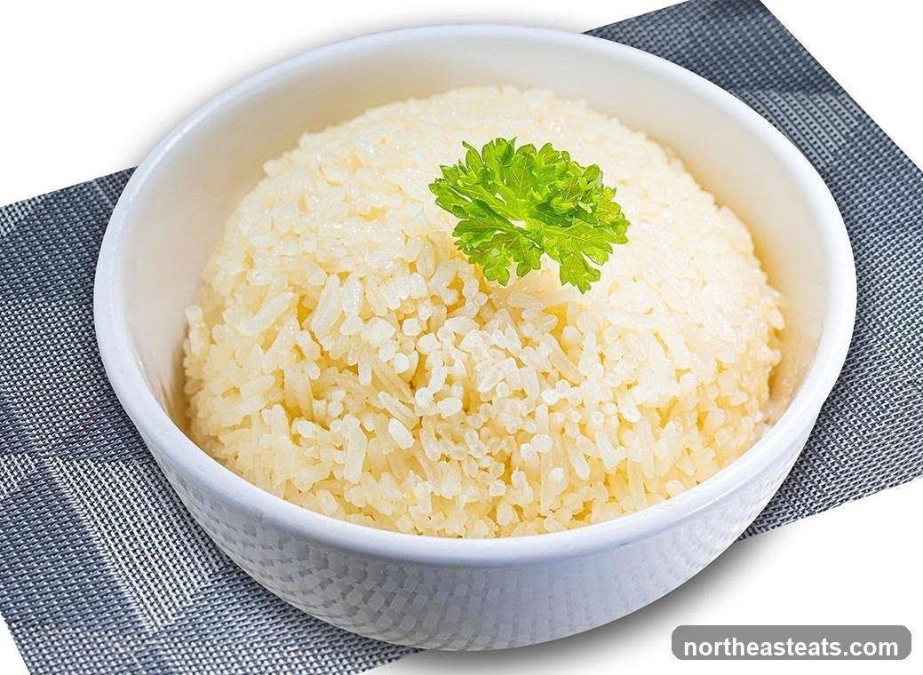 Bowl of Rice