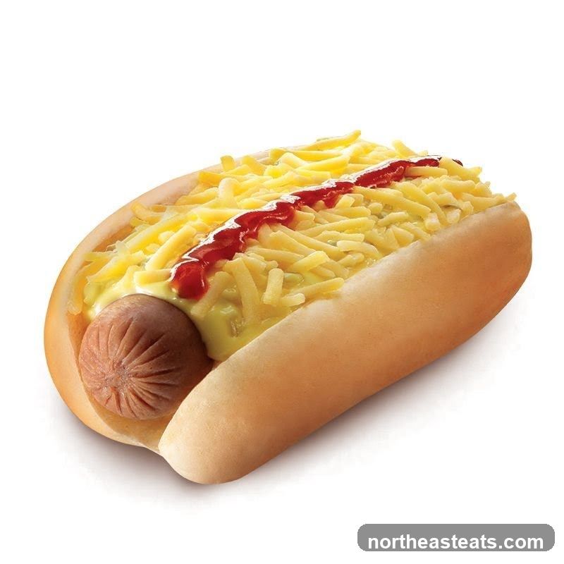 Hot Dog with Cheese and Ketchup
