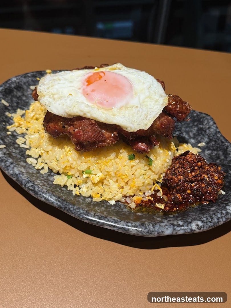 Fried Rice with Meat and Egg