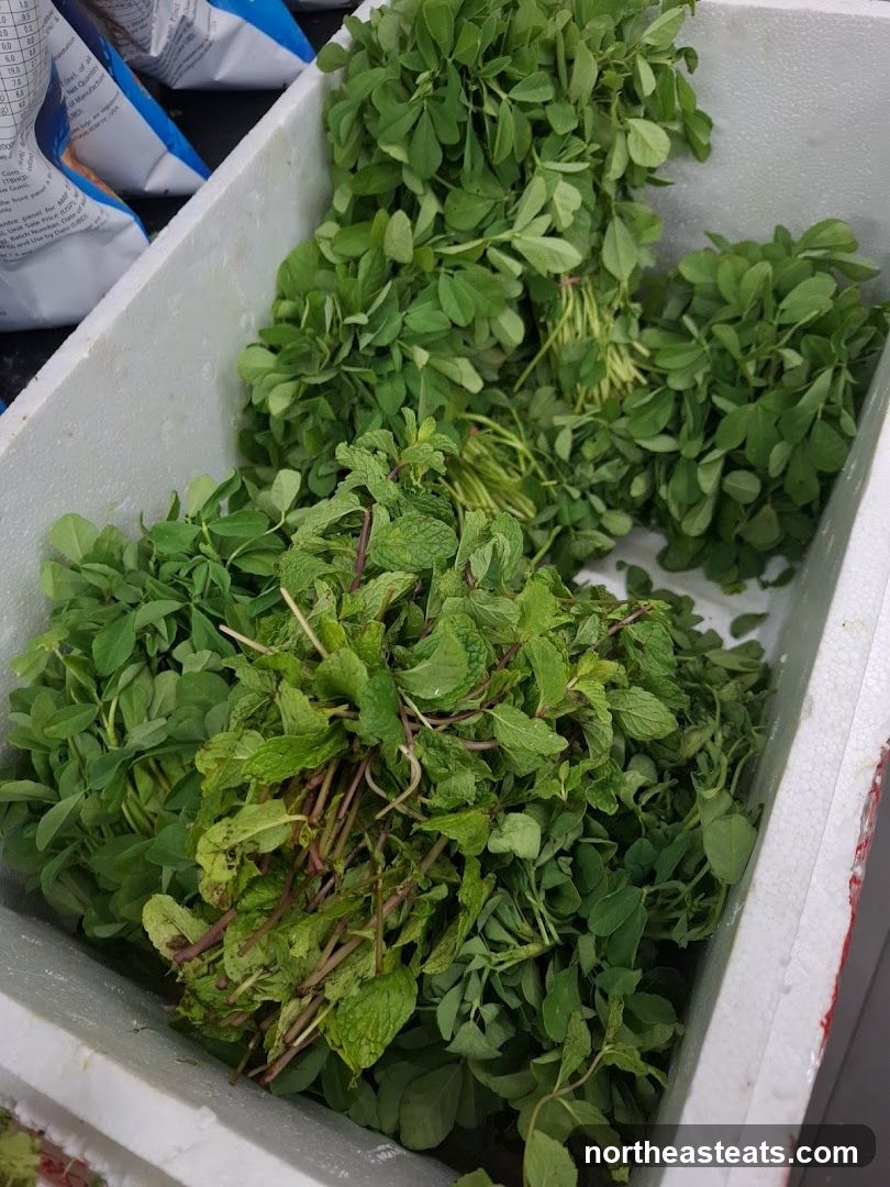 Fresh Herbs in a Cooler