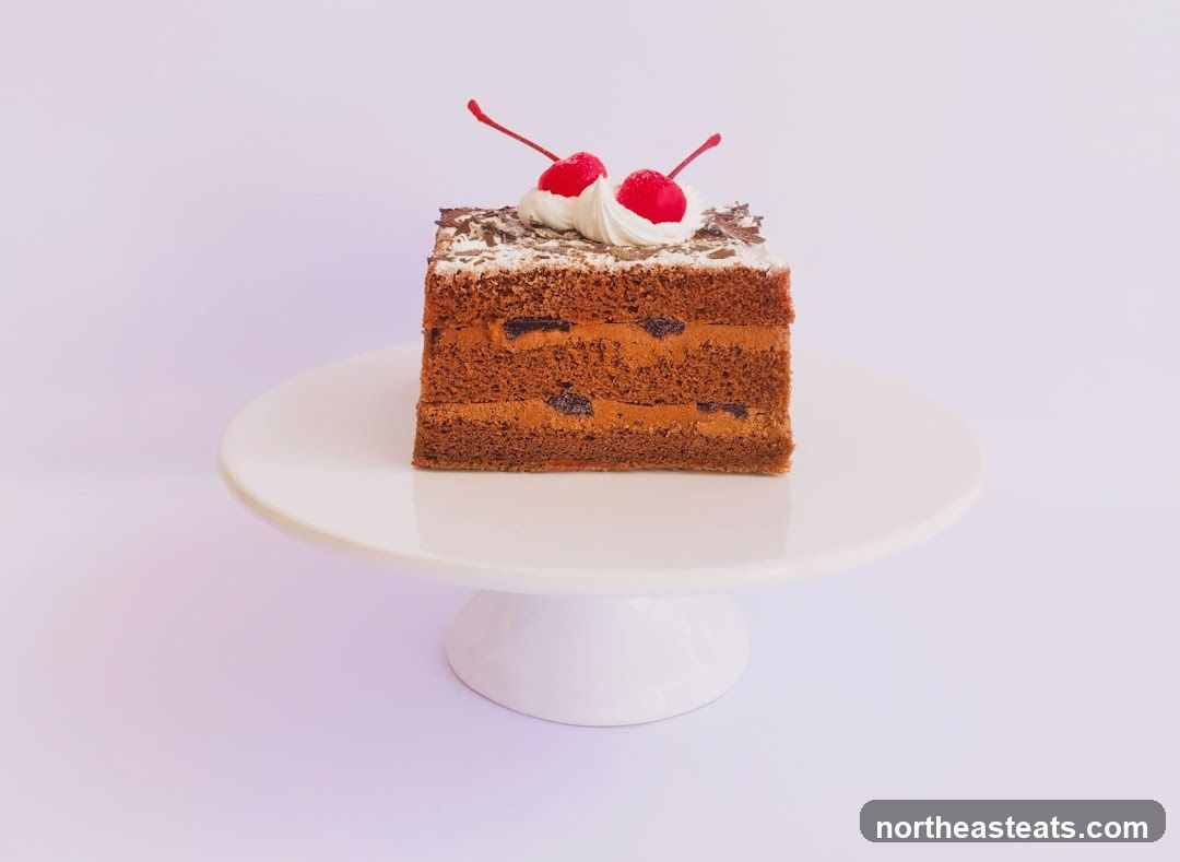 Chocolate Cake Slice