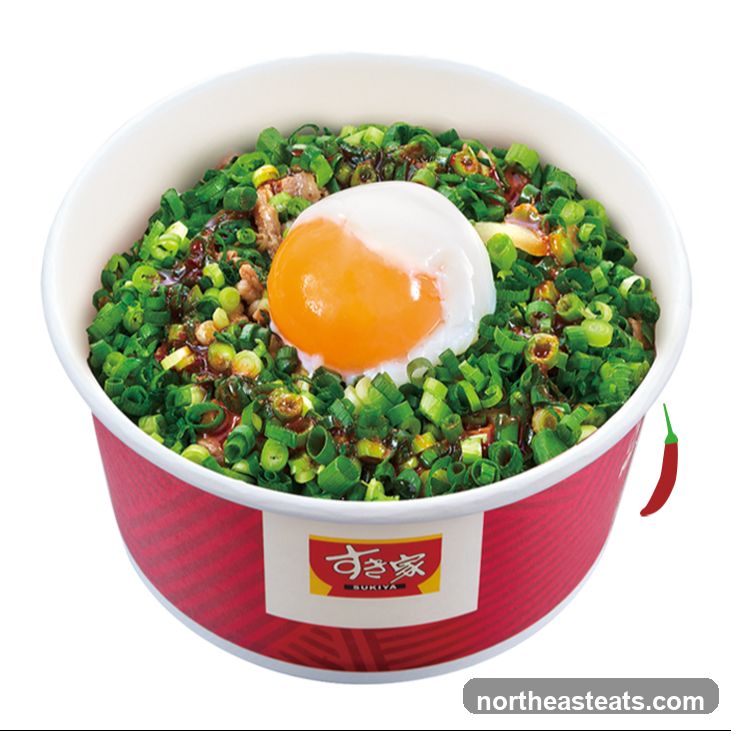 Bowl of Rice with Egg and Green Onions