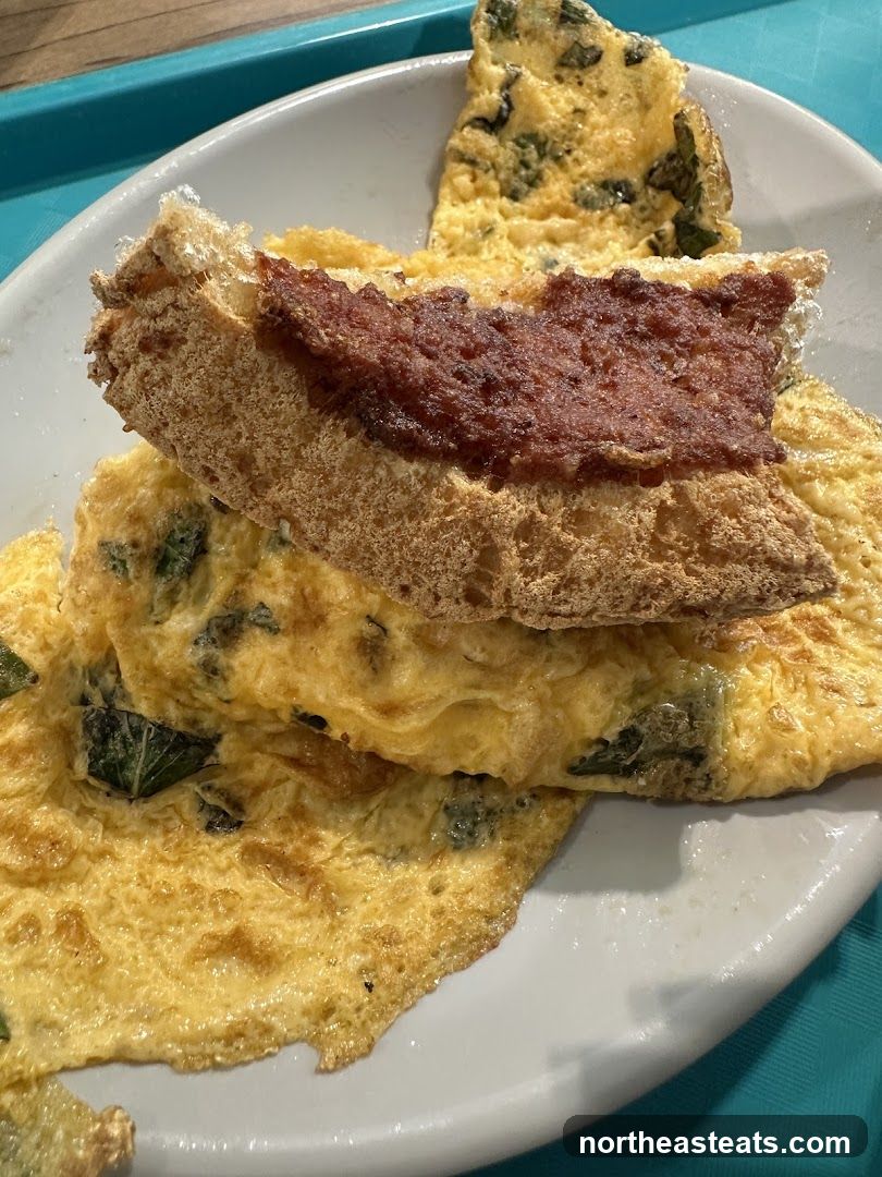 Omelet with Toast