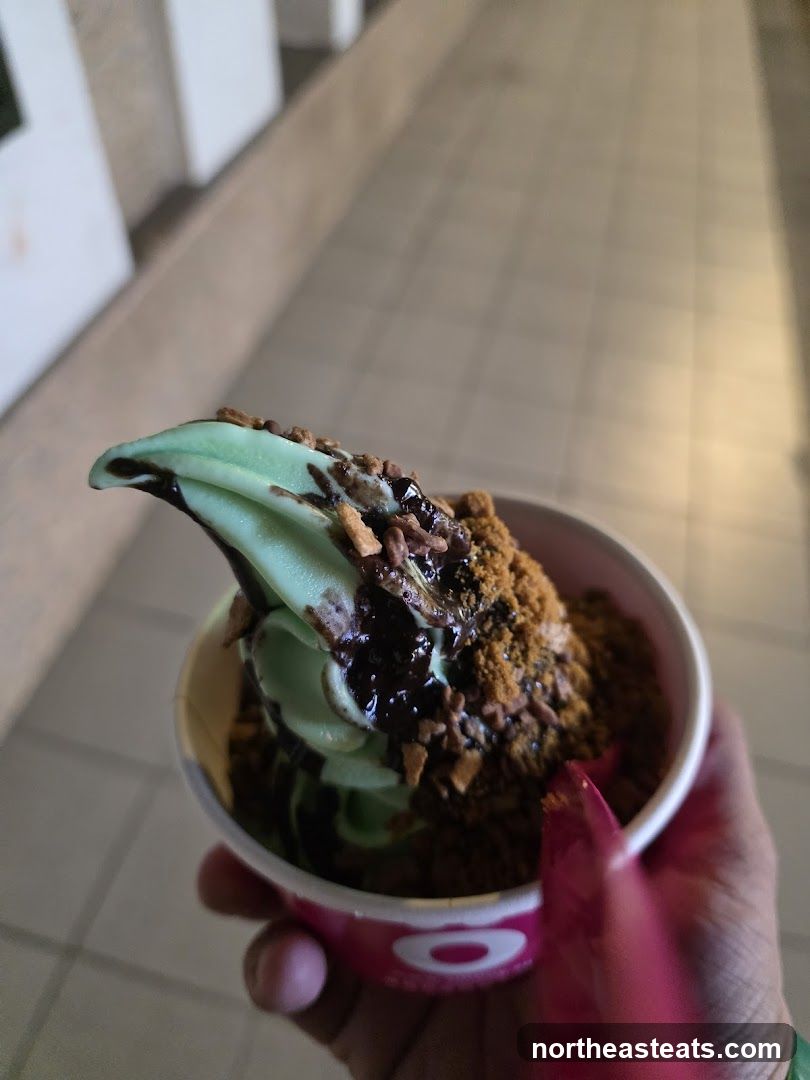 Mint ice cream with toppings