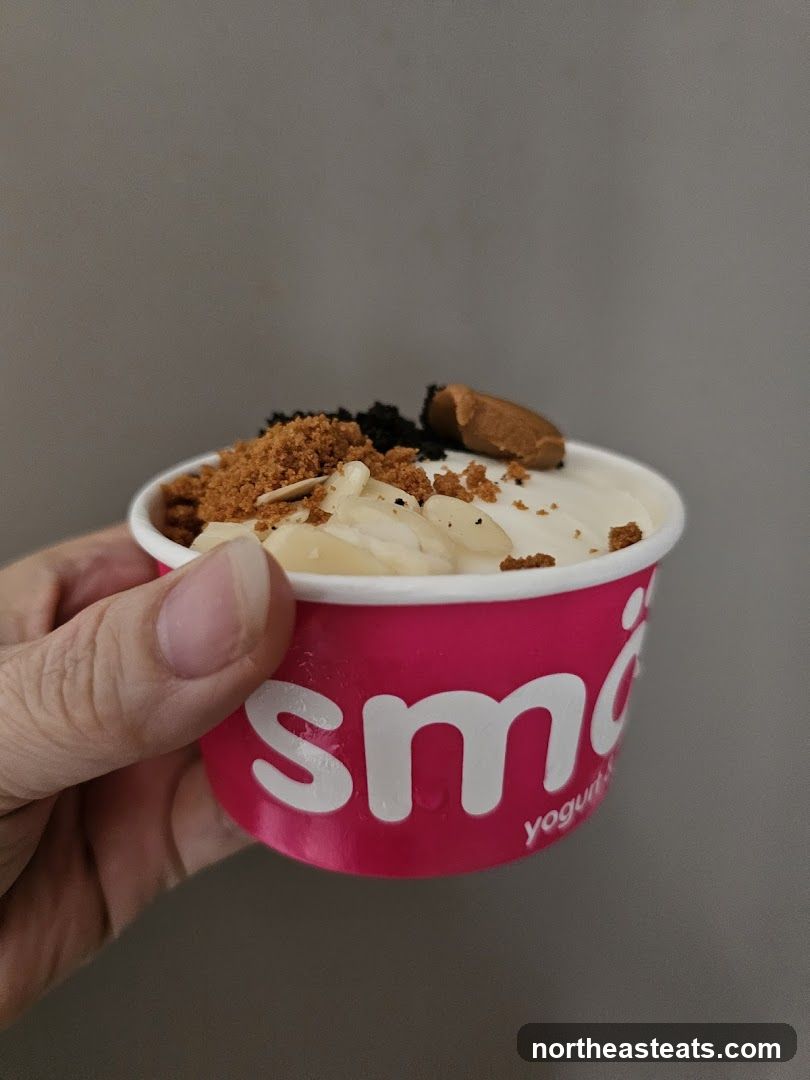 Yogurt Cup with Toppings
