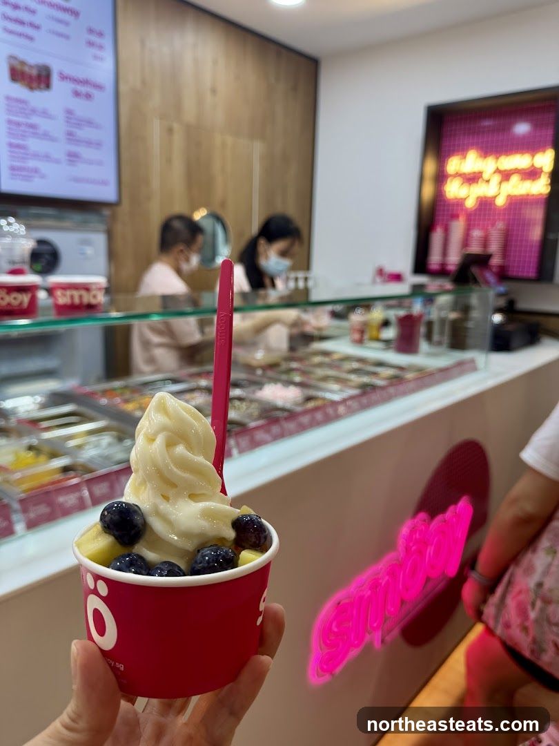 Frozen Yogurt with Fruit Toppings