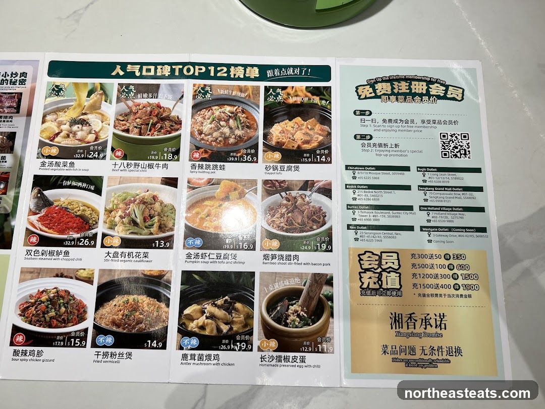 人气口碑TOP12榜单