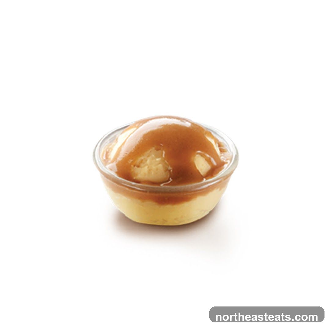 Ice Cream with Caramel Sauce