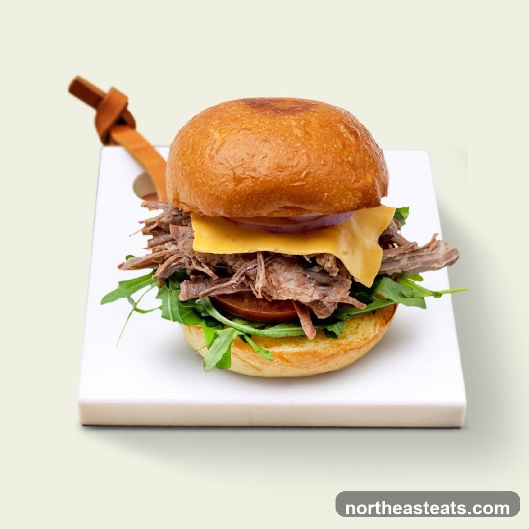 Pulled Meat Sandwich