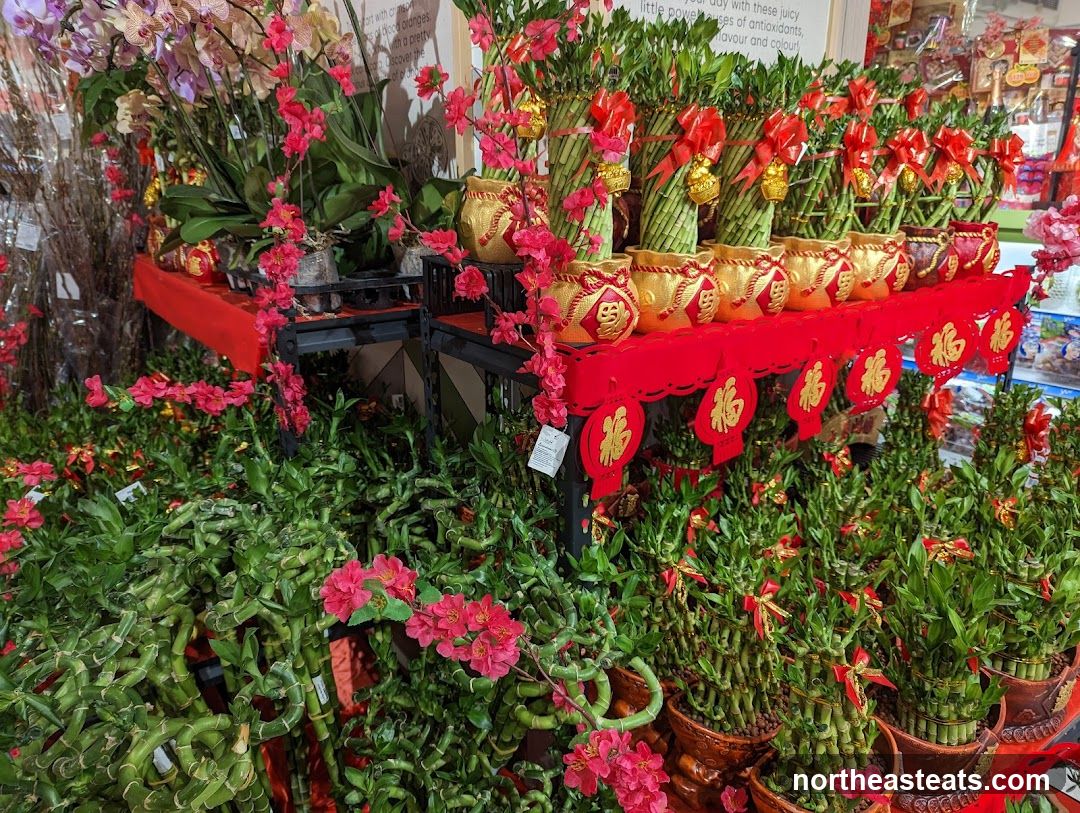 Lucky Bamboo and Orchids Display