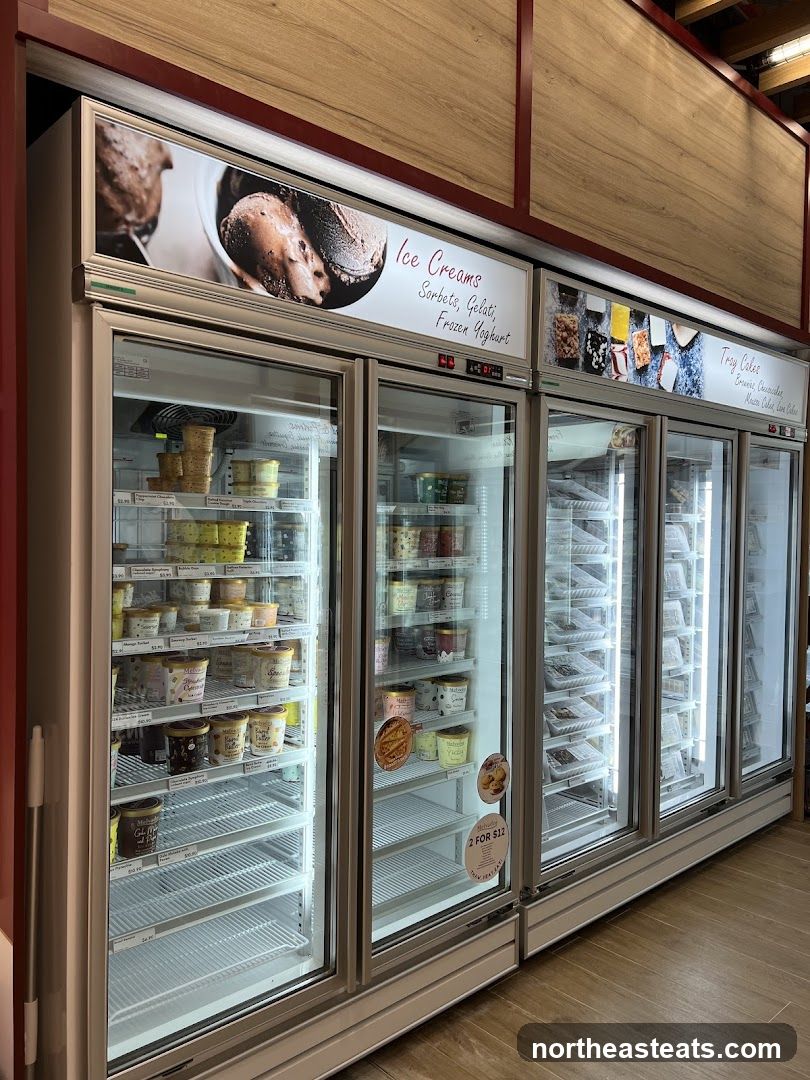 Ice Cream Freezers