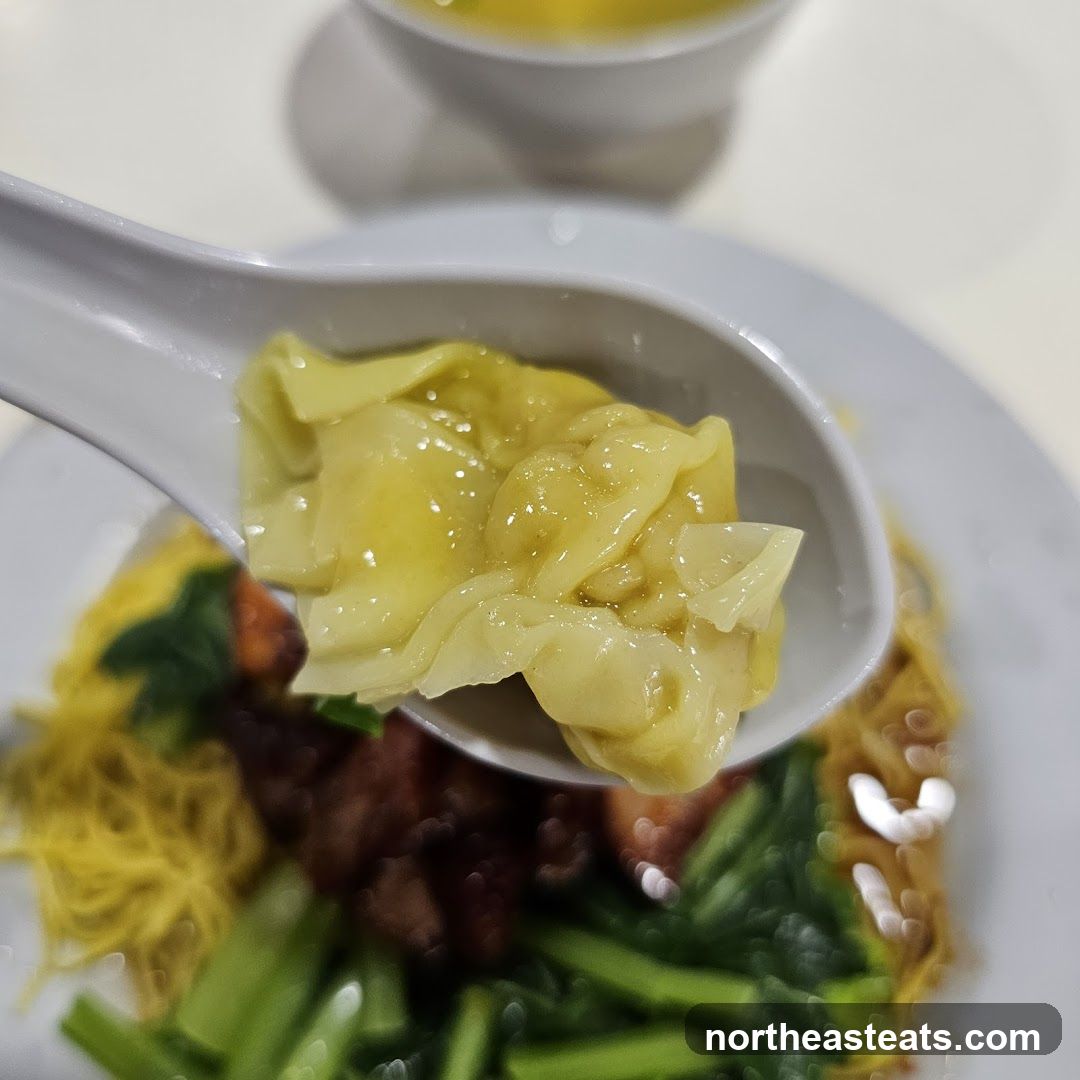 Wonton Noodle Soup
