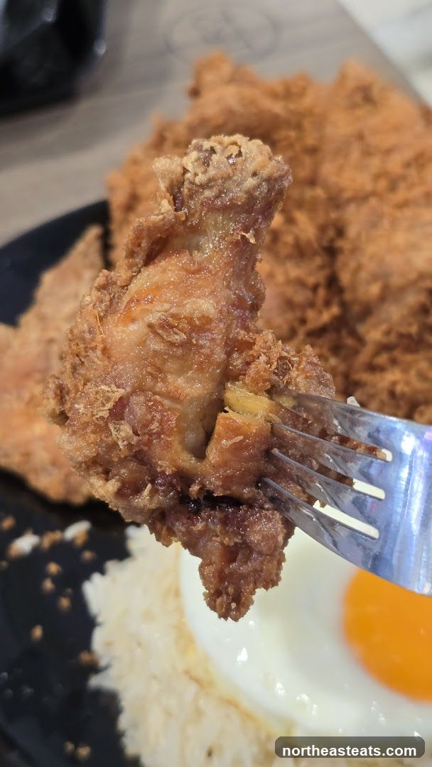 Fried Chicken with Rice and Egg