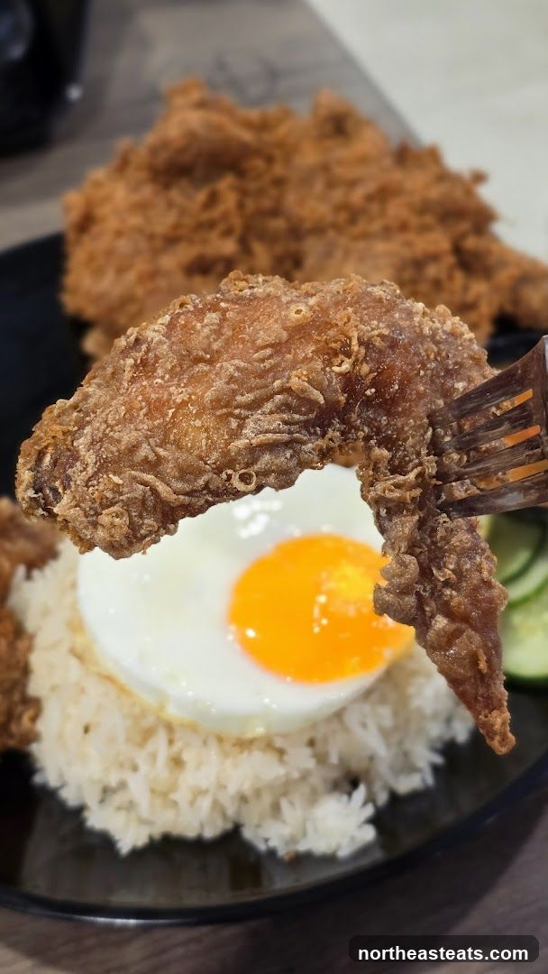Fried Chicken with Rice and Egg