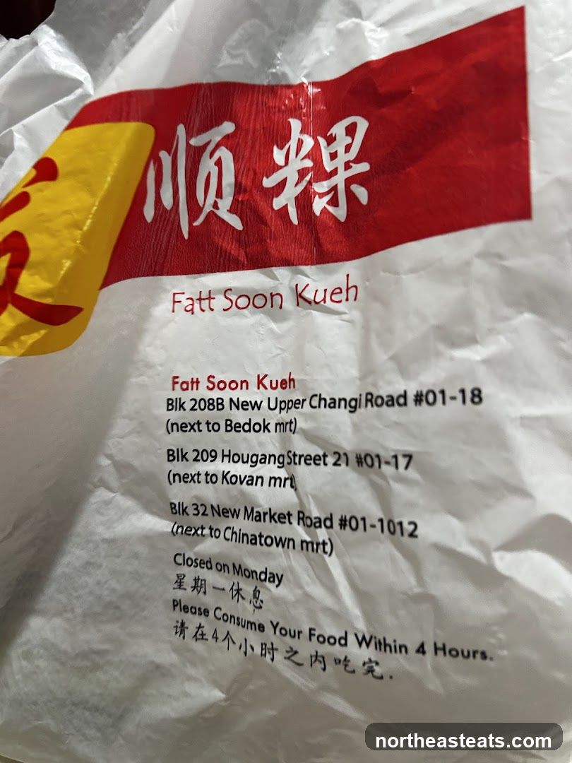 Fatt Soon Kueh Bag