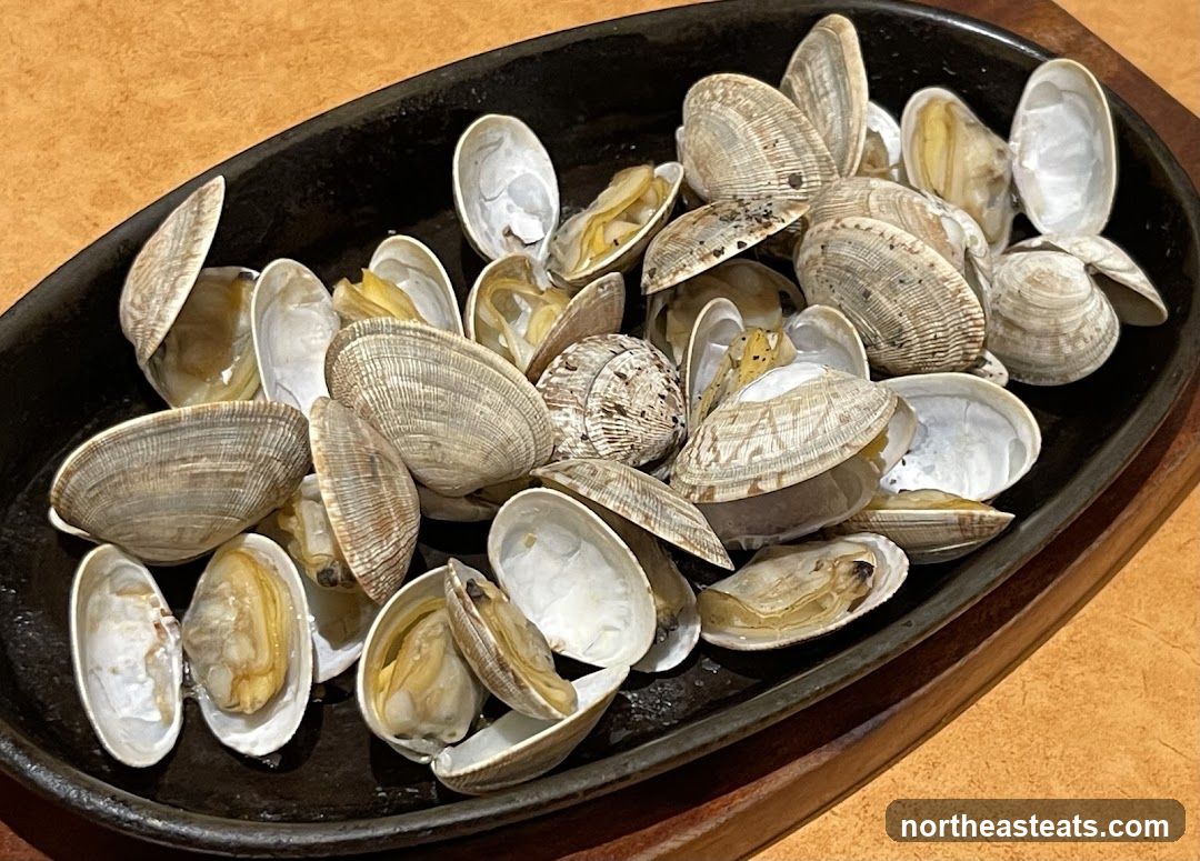 Steamed Clams