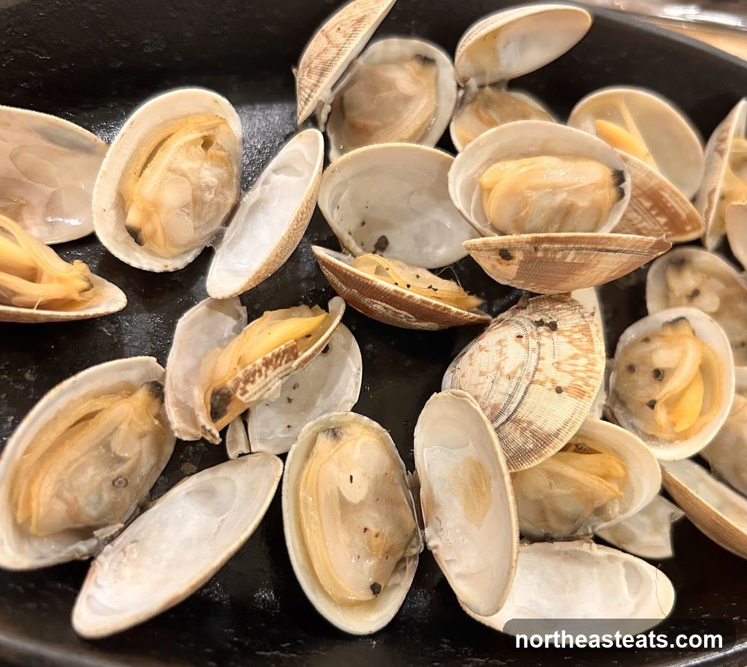 Steamed Clams