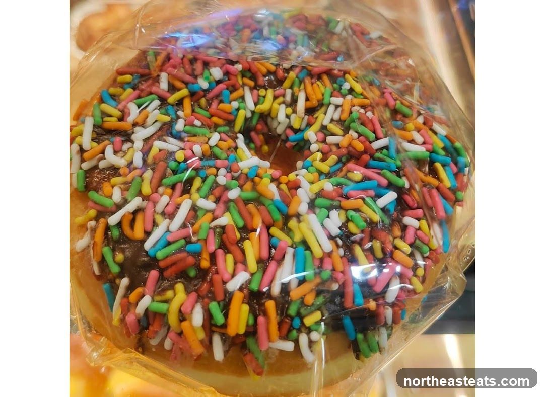 Chocolate Donut with Sprinkles