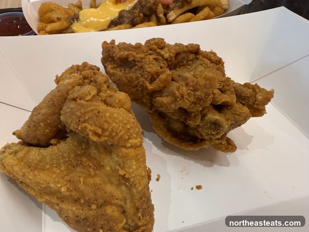 Fried Chicken and Fries