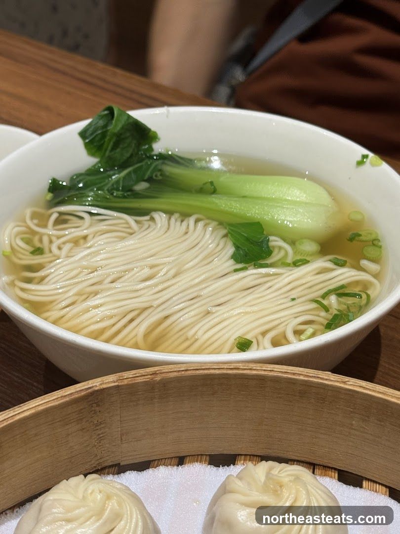 Noodle Soup and Dumplings