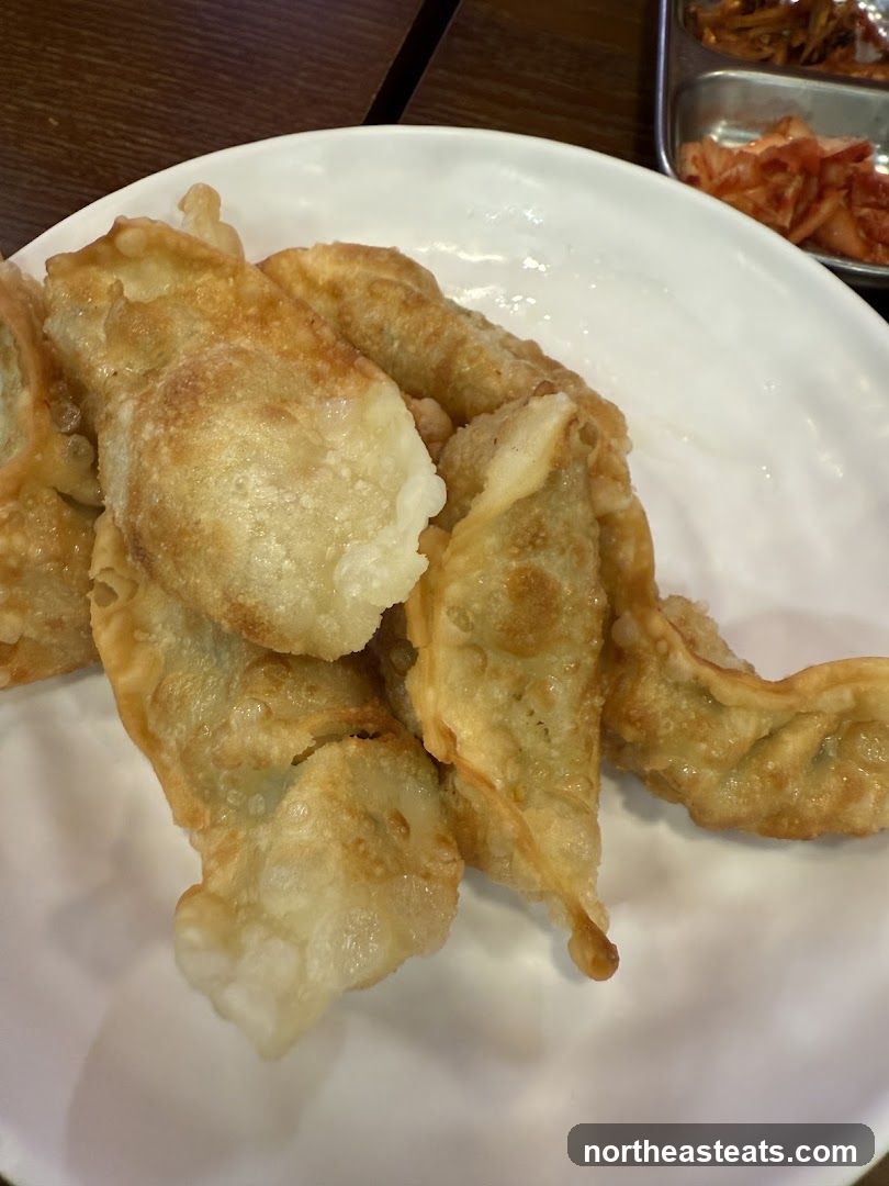 Fried Dumplings