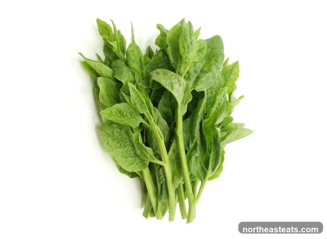 Malabar Spinach