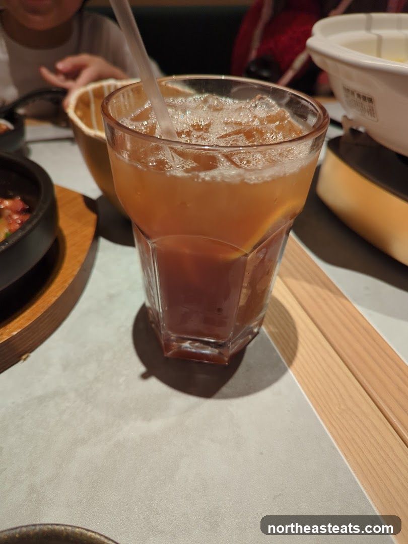 Iced Tea with Ice and Lemon