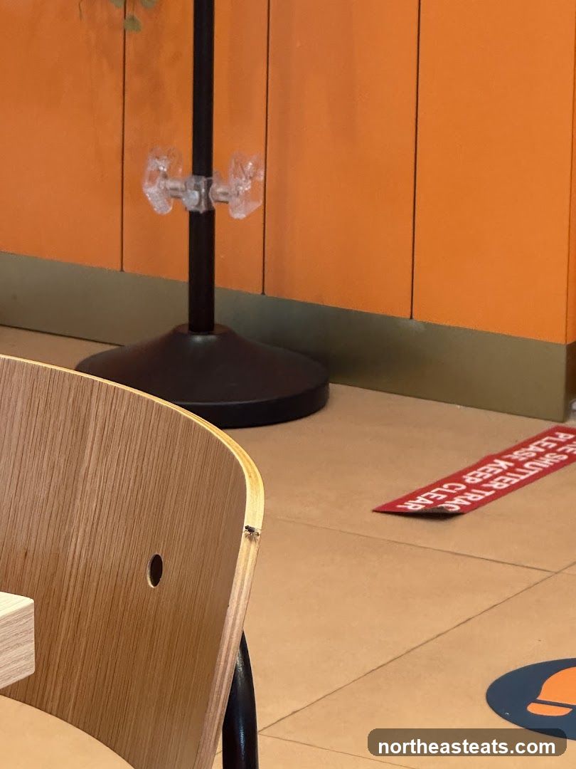 Social Distancing Markers and Chair