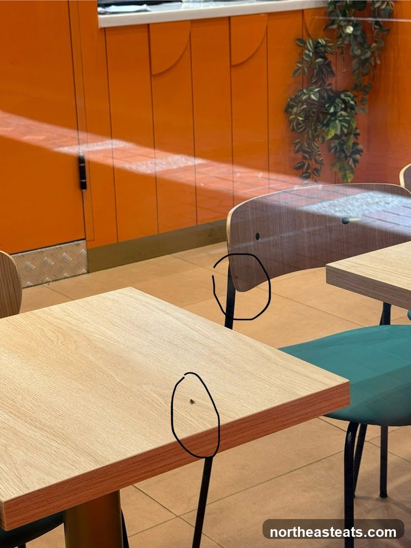 Cafe Interior with Orange Walls and Wooden Tables
