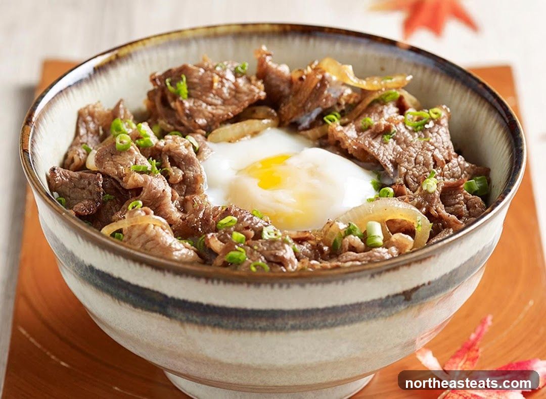 Beef and Egg Rice Bowl