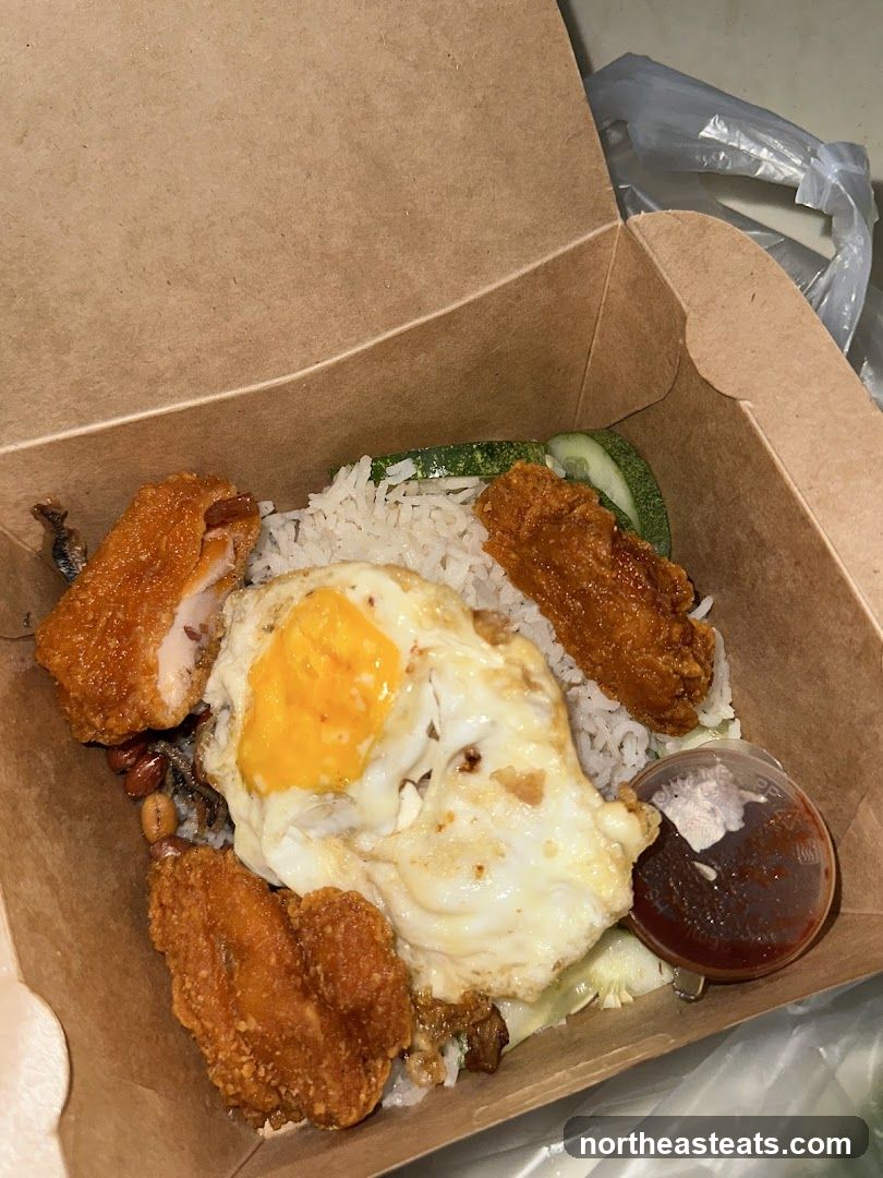 Nasi Lemak Takeaway Box