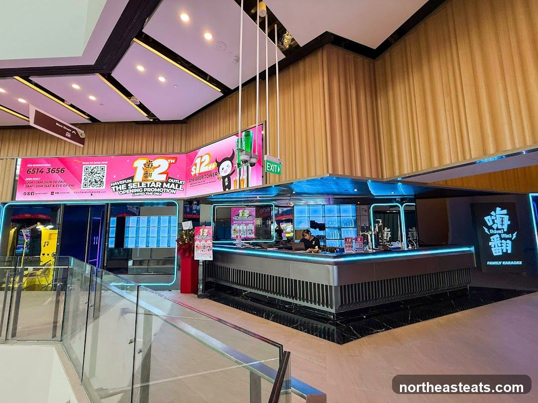 HaveFun Karaoke (The Seletar Mall)