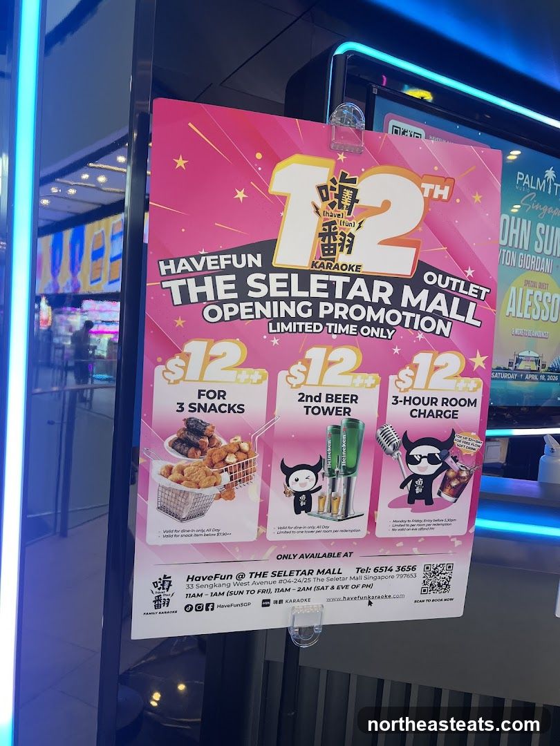 HaveFun Karaoke Opening Promotion