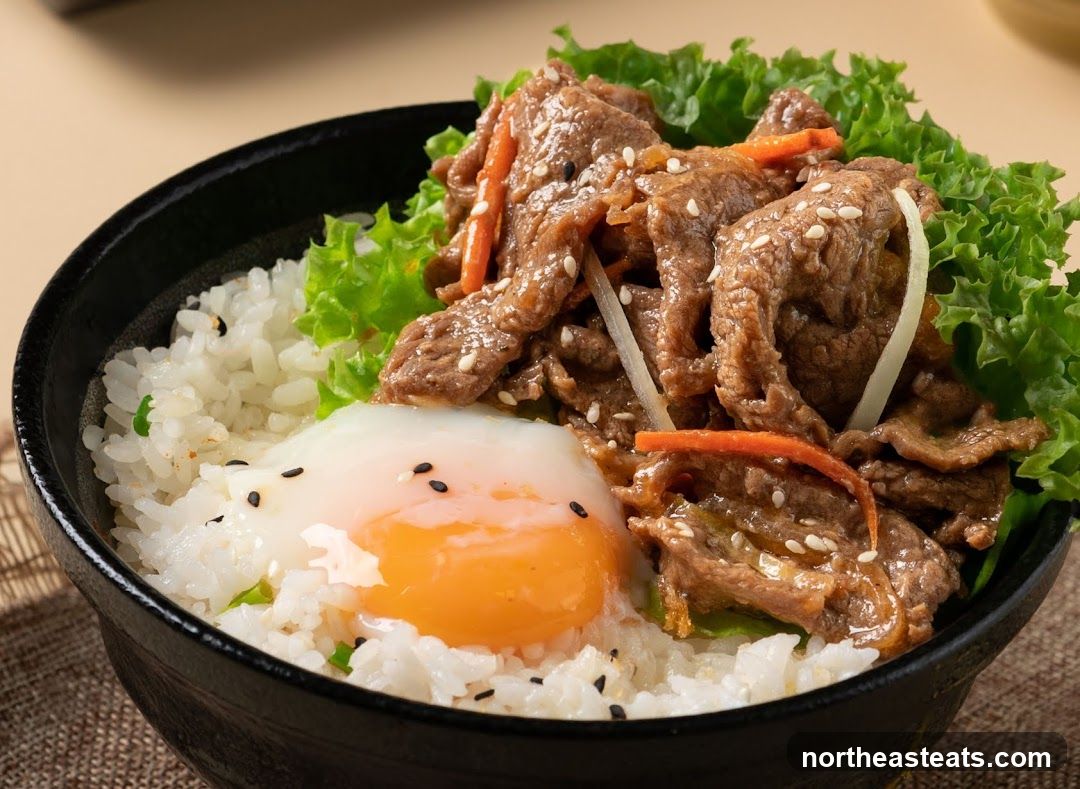 Beef and Egg Rice Bowl