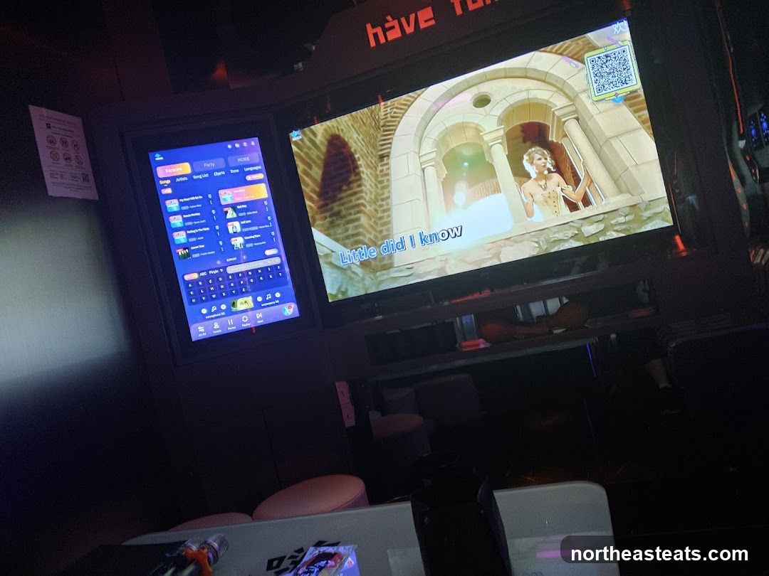 Karaoke Screen and Song Selection